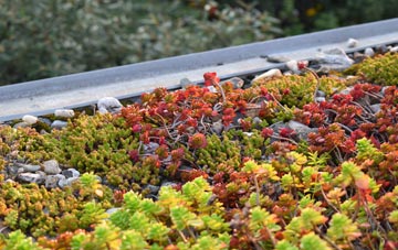 the cost of Plymouth green roof installation