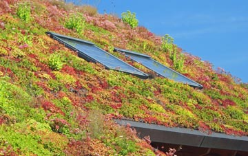 Plymouth living roof systems